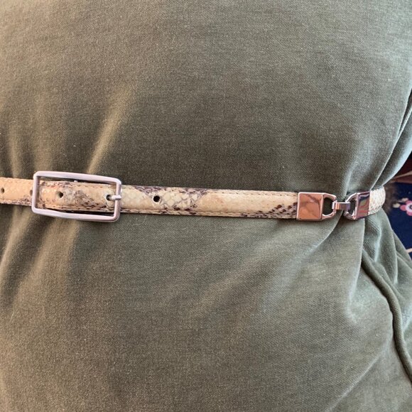 H&M Cream Snakeskin Belt with Silver Buckle and Side Link Hardware - Picture 2 of 5